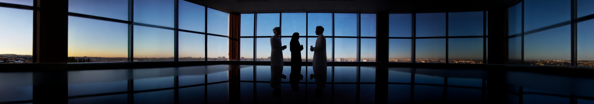 نبذة عن الشركة